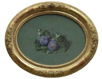 F.STARKE XIXème siècle Etude de prunes Aquarelle ovale sur papier vert signée située...