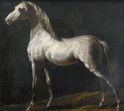 ECOLE FRANCAISE XIXème siècle, dans le goût de Géricault. C heval blanc. Huile sur...