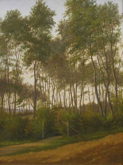 Peter Christian SKOVGAARD (1817-1875) Paysage de forêt Huile sur toile marouflée...