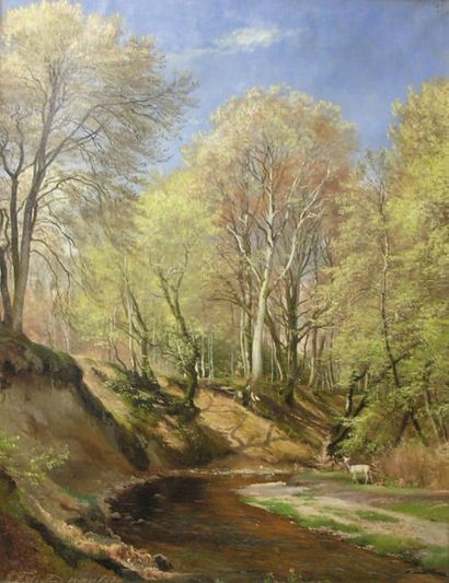 Carl Frederik AAGAARD (1833-l895) Paysage de forêt Huile sur toile signée C.F.Aagaard...