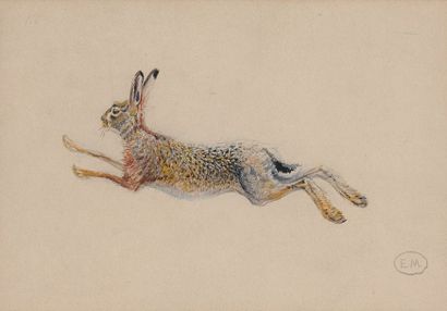 Édouard Paul MERITE (1867-1941) «Etude de lapins» Suites de trois dessins dont un...