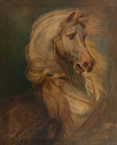 ECOLE FRANCAISE DU XIXème siècle «Cheval fougueux» Huile sur toile. 72 x 59 cm