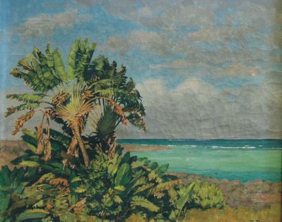 Paul Léon BLEGER (1889-1981) Palmiers au bord de la mer Huile sur toile signée en...