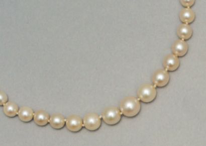 null COLLIER de perles fines rondes, blanches en chute, le fermoir olive en or gris....