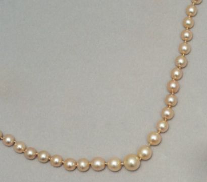 null COLLIER de perles fines rondes, blanches en chute, le fermoir en or serti d'un...