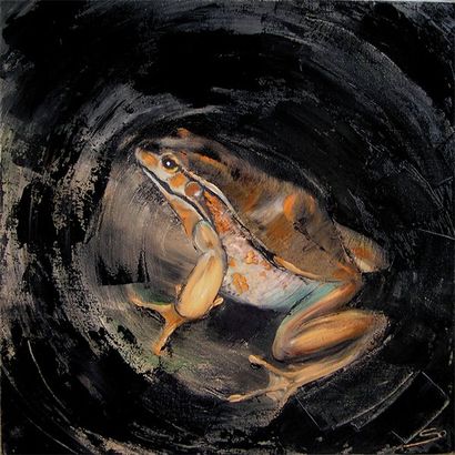 SO (née en 1972) Amphibien Huile sur toile signée en bas à droite 50 x 50 cm