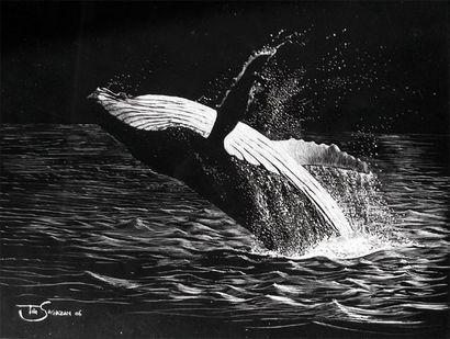 SAGAZAN deTanguy (né en 1975) Baleine Carte à gratter, signée en bas à droite et...