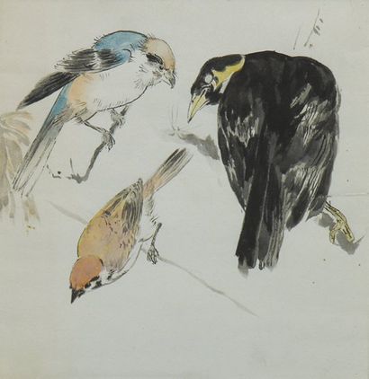 ECOLE JAPONAISE vers 1900 Mésanges et Menâte Encre et aquarelle sur papier 19 x 18.5...