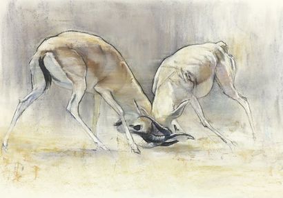 ADLINGTON Mark (né en 1965) Sand gazelles Crayon et pastel sur papier signé en bas...