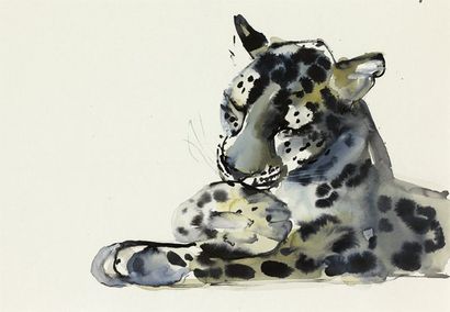 ADLINGTON Mark (né en 1965) Arabian leopard Aquarelle signée en bas à gauche et datée...
