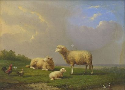 VAN SEVERDONCK François (1809-1889) Moutons, poule et coq Huile sur panneau, signée...