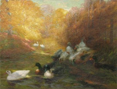 VAN ENGELEN Louis (1856-1940) Les canards Huile sur toile signée en bas à gauche...