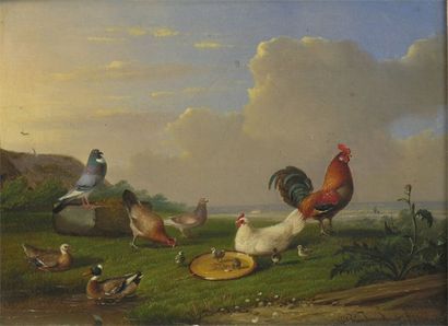 VAN SEVERDONCK François (1809-1889) Coqs, poules, canards et pigeons Huile sur panneau,...