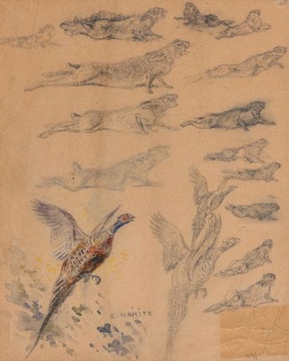 Édouard Paul MERITE (1867-1941) TM012 – Etude de faisans et lapins, têtes de biche,...