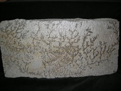 null Plaque de calcaire imagée (dessin dendritique)