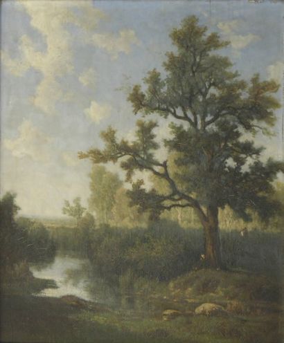 ALLEMAND Hector (1809-1886) attribué à Sous Bois Huile sur panneau 54,5 x 44,5 c...