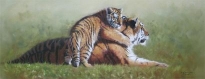 MCGARRY Pip (né en 1955) Tiger and Cub Toile signée et datée 2009 en bas à droite...
