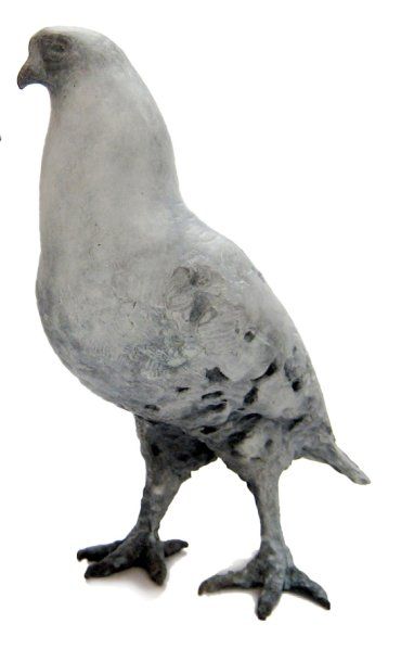 CROSBY Dido (née en 1961) Cock le pigeon Bronze signé et numéroté 1/12. Bronze Age...