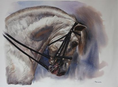 TARMENO (né en 1960) Portrait de cheval Aquarelle signée en bas à droite 56 x 76...