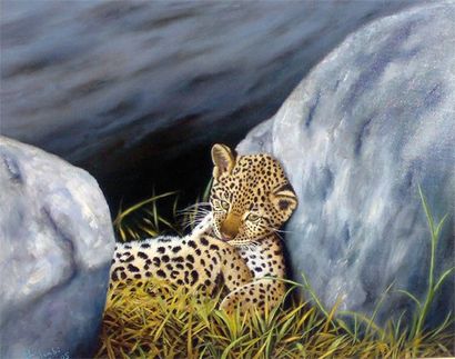 COLOMBI Marc (né en 1954) Bébé léopard fatigué, 2005 Huile sur toile signée et datée...