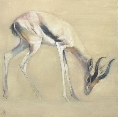 ADLINGTON Mark (né en 1965) Gazelle s'abreuvant Huile sur toile monogrammée et datée...