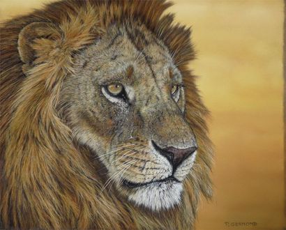 GERMOND Patrick (né en 1955) Lion d'Angola Pastel sur papier, signé en bas à droite...