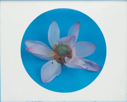 null HONG LEI (Né en 1960)

After the Dynasty paintings, Lotus From The Water, 1998

C-print...