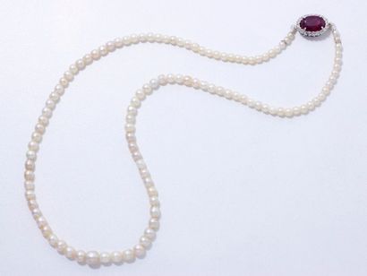 null Collier composé d'une légère chute de perles fines d'environ 3.1 à 6.5 mm, il...