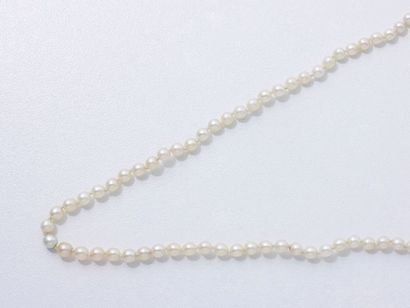 null Collier composé d'un rang de perles probablement fines d'environ 2.3 à 3.7 mm,...