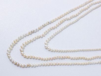 Lot de 3 colliers composé d'un rang de perles...