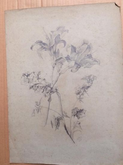 null Rose WILD (1872-1904)
Etudes de fleurs
Cinq dessins au crayon, encre de Chine...