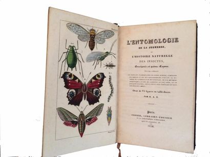 null ENTOMOLOGIE (L') de la Jeunesse ou L'Histoire naturelle des Insectes enseignée...