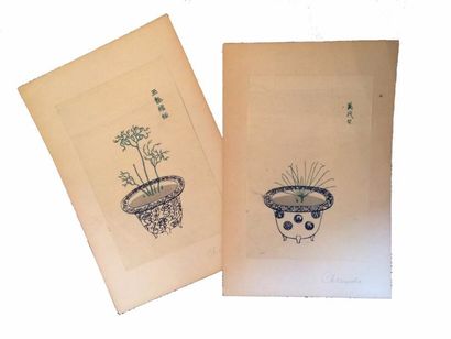 CHOSEISHA Shujin Psilotum (Matsubaran): Matsuraran fu. 1836; réunion de 7 gravures...