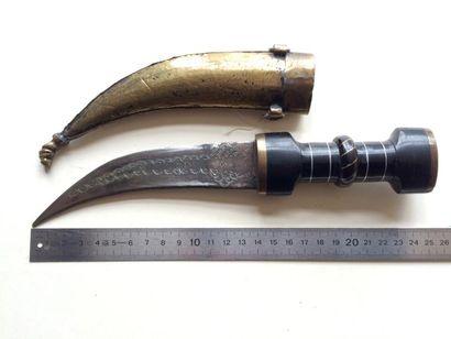 null Turquie



Turquie, Couteau ancien, forme yatagan, 25 cm, lame 14 cm, forgée...