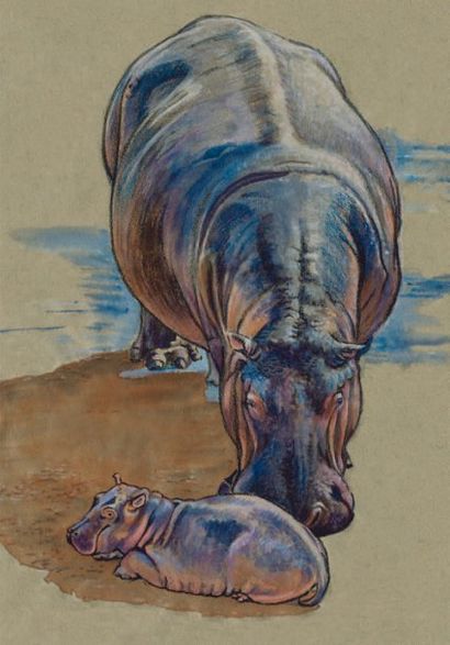 BECK Danielle (née en 1944) Hippotame avec bébé, Massaï Mara Encre acrylique sur...