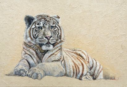 BECK Danielle (née en 1944) Jeune bengale blanc Encre acrylique sur papier marouflé...