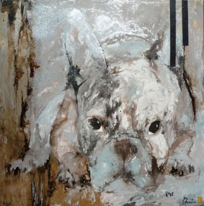 CHENX (née en 1978) Bouledog Acrylique sur toile 80 x 80 cm