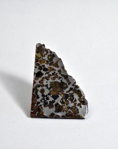 null Météorite Imilac. Désert d'Atacama Chili Pallasite Poids 212 grammes. Cette...