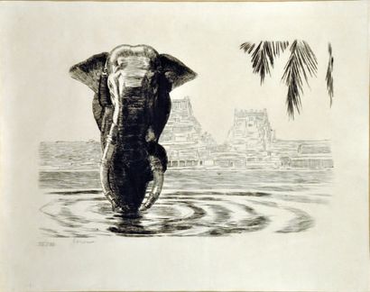 JOUVE Paul (1878-1973) Elephant de Madura Gravure signée en bas à gauche et numérotée...