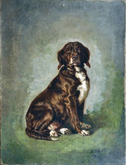 GELIBERT Jules Bertrand (1834-1916) Etude pour le portrait de chienne du comte Grefulle...