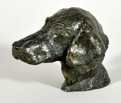 TORCHET Yann (né en 1961) Tête de chien Bronze, numéroté 2/8 et monogrammé. Fonte...
