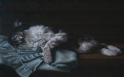 ALBIN Etienne (né en 1979) Le chaton, 2005 Huile sur panneau monogrammé en bas à...