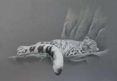 AVELING Martin (né en 1982) Snow leopard Pastel signé en bas à droite 54,5 x 70 ...