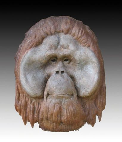 AUBRY Erick (né en 1956) Tête d'Orang Outan Ciment, signé et numéroté 2/8 H:107 cm,...