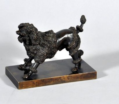 null CANICHE en bronze patiné Milieu 19ème s. Haut : 12, 5 Long : 17 cm, l : 9 c...