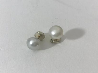 null PAIRE DE BOUTONS D'OREILLES en or blanc (750‰) ornés d’une perle.

Poids brut:...