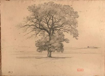 null CABAT (Louis-Nicolas). Les Arbres. 3 dessins originaux au crayon. 1869, l'un...