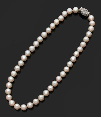 null TIFFANY & Co

COLLIER de perles choker. Fermoir bombé en platine (850‰) à décor...