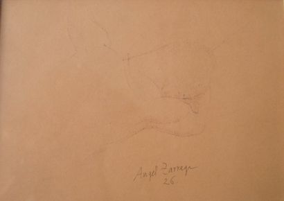 ZARRAGA Angel Buste nu allongé
Encre, signé et date 26 en bas 17,5 x 25 cm