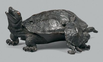 JAPON - Epoque MEIJI (1868 - 1912) Okimono en bronze à patine brune, tortue posée,...